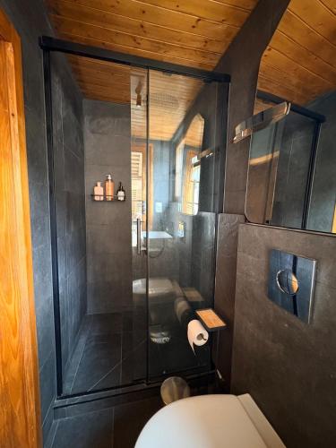 a bathroom with a shower and a toilet at Cosy duplex close to Verbier in Bruson