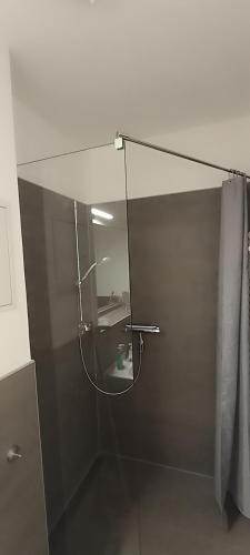 a glass shower in a bathroom with a sink at Juliusruh Strandparadies 2 in Juliusruh