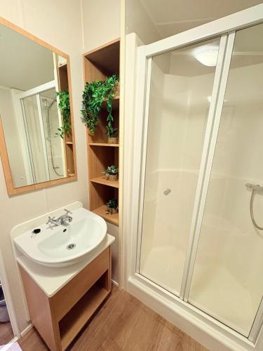 a bathroom with a shower and a sink at The Vacation Lyons Winkups Towyn in Kinmel Bay