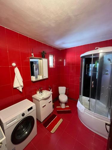 a red bathroom with a sink and a washing machine at Cabana Bianca & Iair in Poiana Vadului