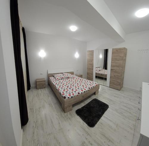 a bedroom with a bed and a large mirror at Garsonieră O&M in Craiova