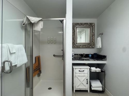 a bathroom with a shower and a sink at Contemporary Dual-Unit 2BR Downtown Branson - Free Tickets Included - LOFT in Branson