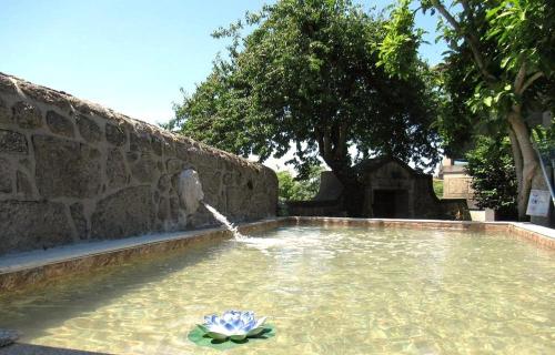 a pool of water with a fountain at Casa Rústica com Piscina Privada - Perto do Porto in Landim