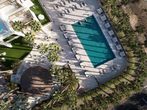 an overhead view of a swimming pool with palm trees at Tabaiba Princess in Maspalomas