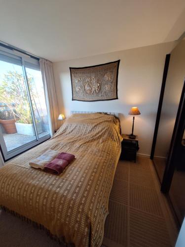 Très bel appartement avec vue sur la Tour Eiffel, grande terrasse, coucher de soleil Parisien