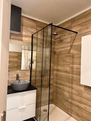 a bathroom with a sink and a glass shower at Savane 2 bedrooms and private parking in Vesoul