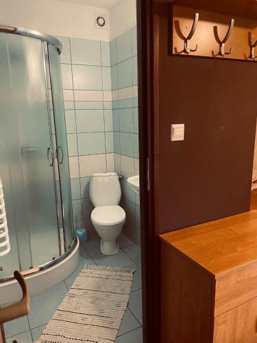 a bathroom with a toilet and a glass shower at Zielone Zacisze in Krościenko