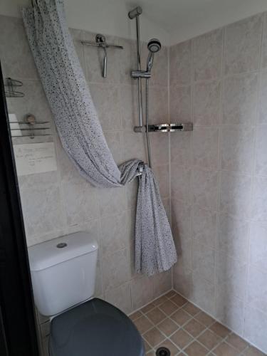 a bathroom with a shower with a toilet and a shower curtain at L'oustalet du Luberon in Cadenet