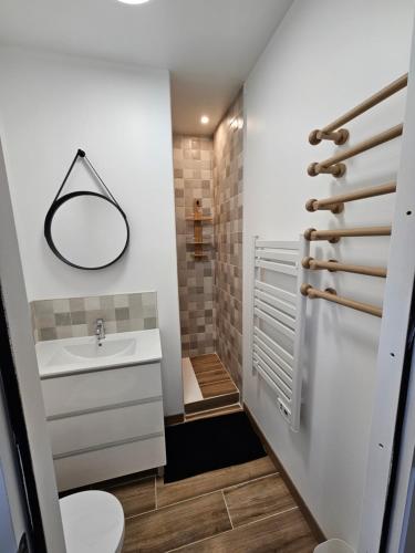 a small bathroom with a sink and a toilet at Gite Le Reposoir Argoules in Argoules