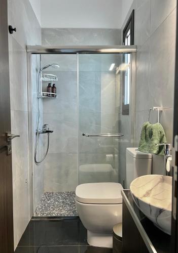 a bathroom with a shower and a toilet and a sink at Villa Terra Rosa in Kritou Terra