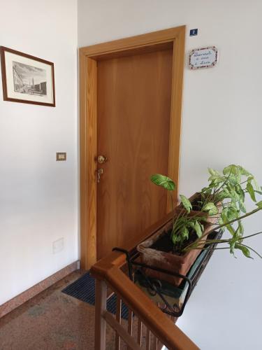 a plant sitting on a shelf next to a door at A Casa di Luca in Faenza