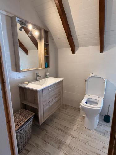 a bathroom with a sink and a toilet at Villa Lolyka in Terre-de-Haut