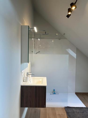 a bathroom with a sink and a mirror at Bomaison charmant landelijke studio in Aalter