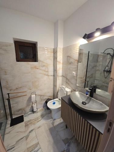 a bathroom with a sink and a toilet at La Stanca in Cheia
