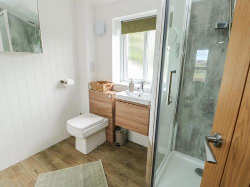 a bathroom with a toilet and a sink and a shower at Bwthyn in Moelfre