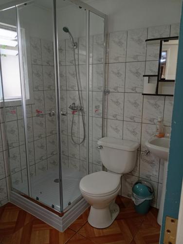 a bathroom with a shower and a toilet and a sink at Casa un rincón acogedor in Temuco