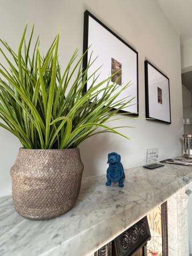 a blue teddy bear sitting on a counter with a potted plant at The Linen Loft - 2 Bed Apartment - Central Town Location - Reserved Parking Space Included in Ross on Wye