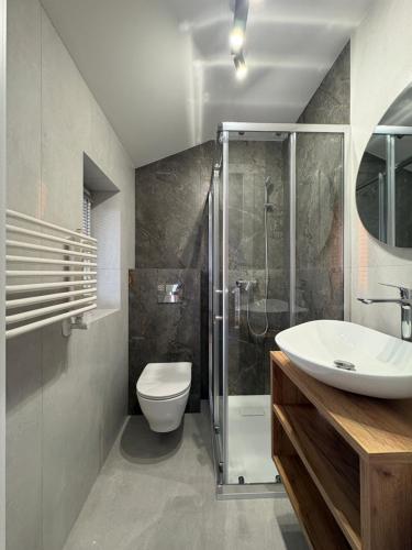 a bathroom with a shower and a sink and a toilet at Łabędź Jastarnia in Jastarnia
