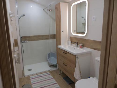 a bathroom with a shower and a sink and a toilet at Les Lilas in Saint-Clair
