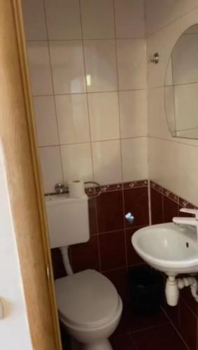a small bathroom with a toilet and a sink at Готель Ніколет in Mukacheve