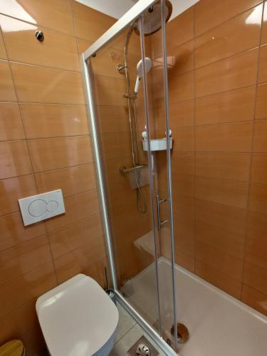 a shower in a bathroom with a toilet at Apartment Juliet in Izola