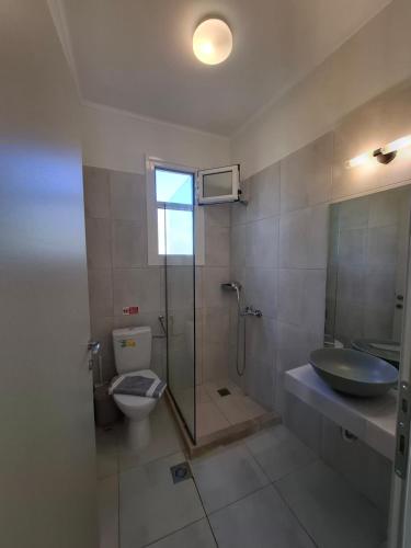 a bathroom with a shower and a toilet and a sink at Musses Studios in Minia