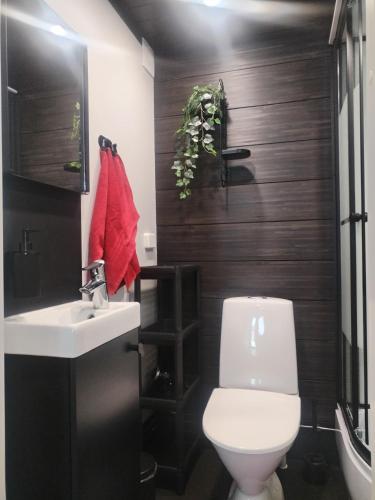 a bathroom with a white toilet and a sink at Pihapiilo in Raahe