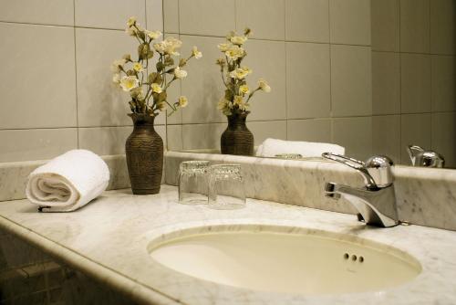 a bathroom sink with two vases with flowers in it at Hotel Tierra Del Fuego in Punta Arenas