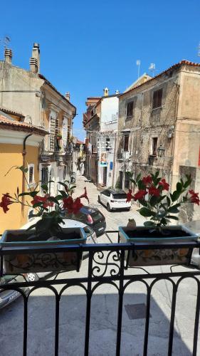 two potted plants sitting on top of a iron fence at Palazzo Sandù Dimora nel Borgo in San Nicola Arcella