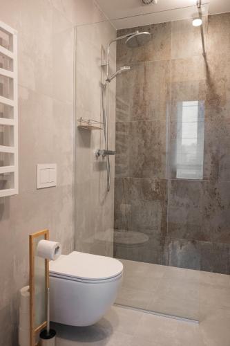 a bathroom with a toilet and a glass shower at 7 Levandos in Palanga