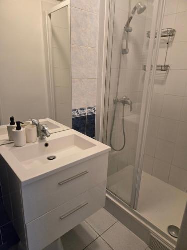 a bathroom with a sink and a shower at Séjour Eau Vive Proche commerces et Metro in Créteil