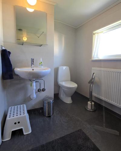 a bathroom with a sink and a toilet and a mirror at The Sheep Inn B&B in Arvika