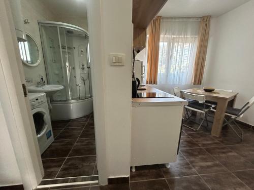 a bathroom with a sink and a washing machine at Apartments Mitende in Budva