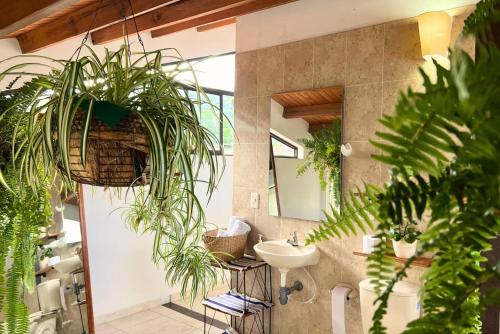 a bathroom with potted plants and a sink at Casa Dornella - Casa de Hospedaje in Guaduas