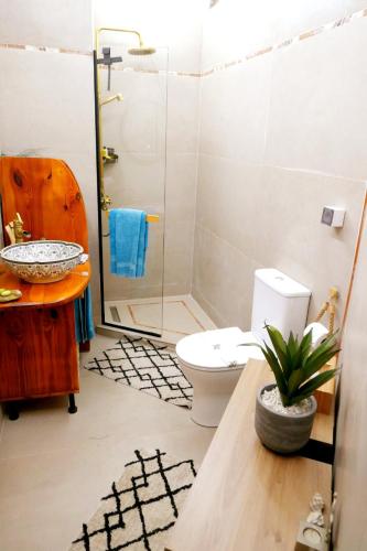 a bathroom with a toilet and a sink and a shower at The Lodge apartment in Mesongi