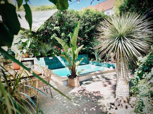 a swimming pool in a garden with plants at Unique House with private swimming pool by the sea - AFRA GROUP in Sopot