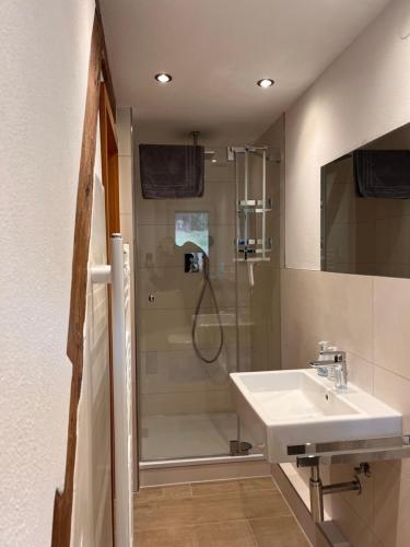 a bathroom with a shower and a sink at Gästehaus Maria Brinkhus in Schonach