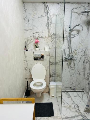 a bathroom with a toilet and a shower at Nicotel in Turda