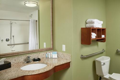 a bathroom with a sink and a mirror and a toilet at Hampton Inn Bermuda Run / Advance in Bermuda Run