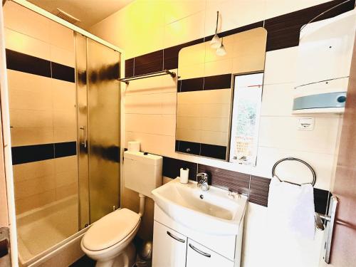 a bathroom with a toilet and a sink and a shower at room MLIN 2 in Jakišnica