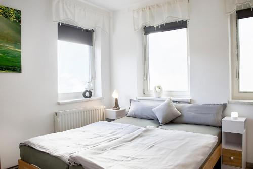 a bedroom with a bed and two windows at Am Blumenladen in Lübben