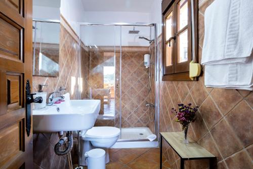 a bathroom with a sink and a toilet and a shower at Apartamentos Sierra Tejeda in Alcaucín