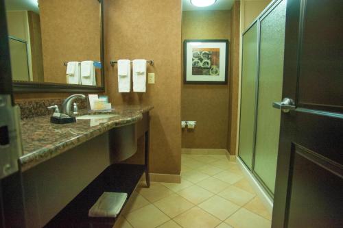 a bathroom with a sink and a shower and a mirror at Hampton Inn & Suites Palestine in Palestine