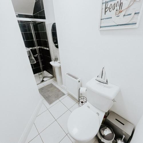 a white bathroom with a toilet and a sink at killarney Townhouse with super location in Killarney