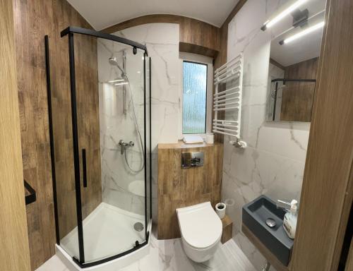 a bathroom with a shower and a toilet and a sink at Stara Palmiarnia Mimoza in Rybnik