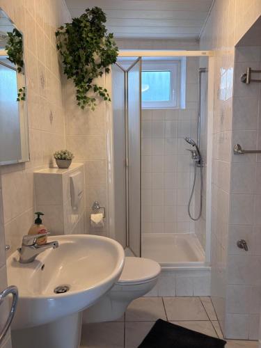 a bathroom with a sink and a toilet and a shower at Ferienwohnung in Hackenheim