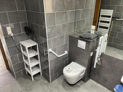 a bathroom with a white toilet and a tiled wall at GITE DE L'ORCHIDÉE P M r in Locmaria-Grand-Champ