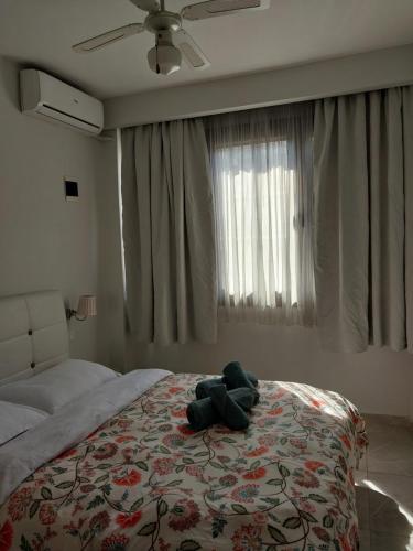 AniBo Studios & Apartments center EGNATIA