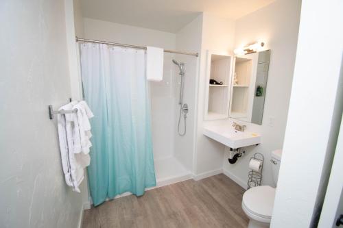 a bathroom with a shower and a toilet and a sink at The Painted Pelican in Luxemburg