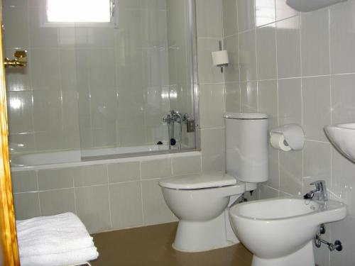 a bathroom with a toilet and a shower and a sink at Hotel Álvarez in Tuéjar